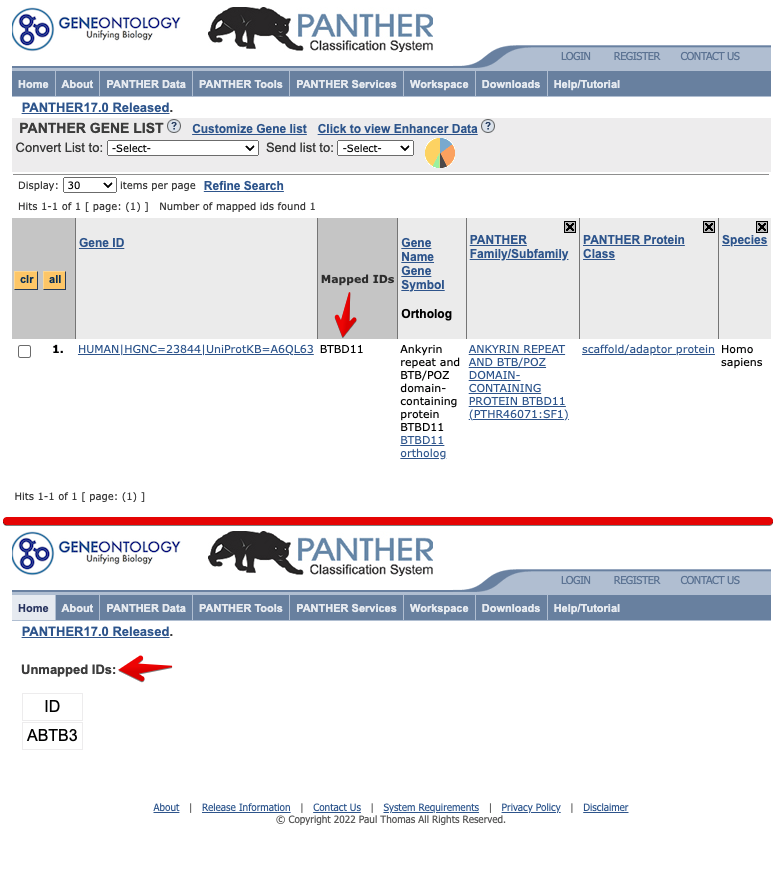 BTBD11 vs ABTB3 in GeneOntology