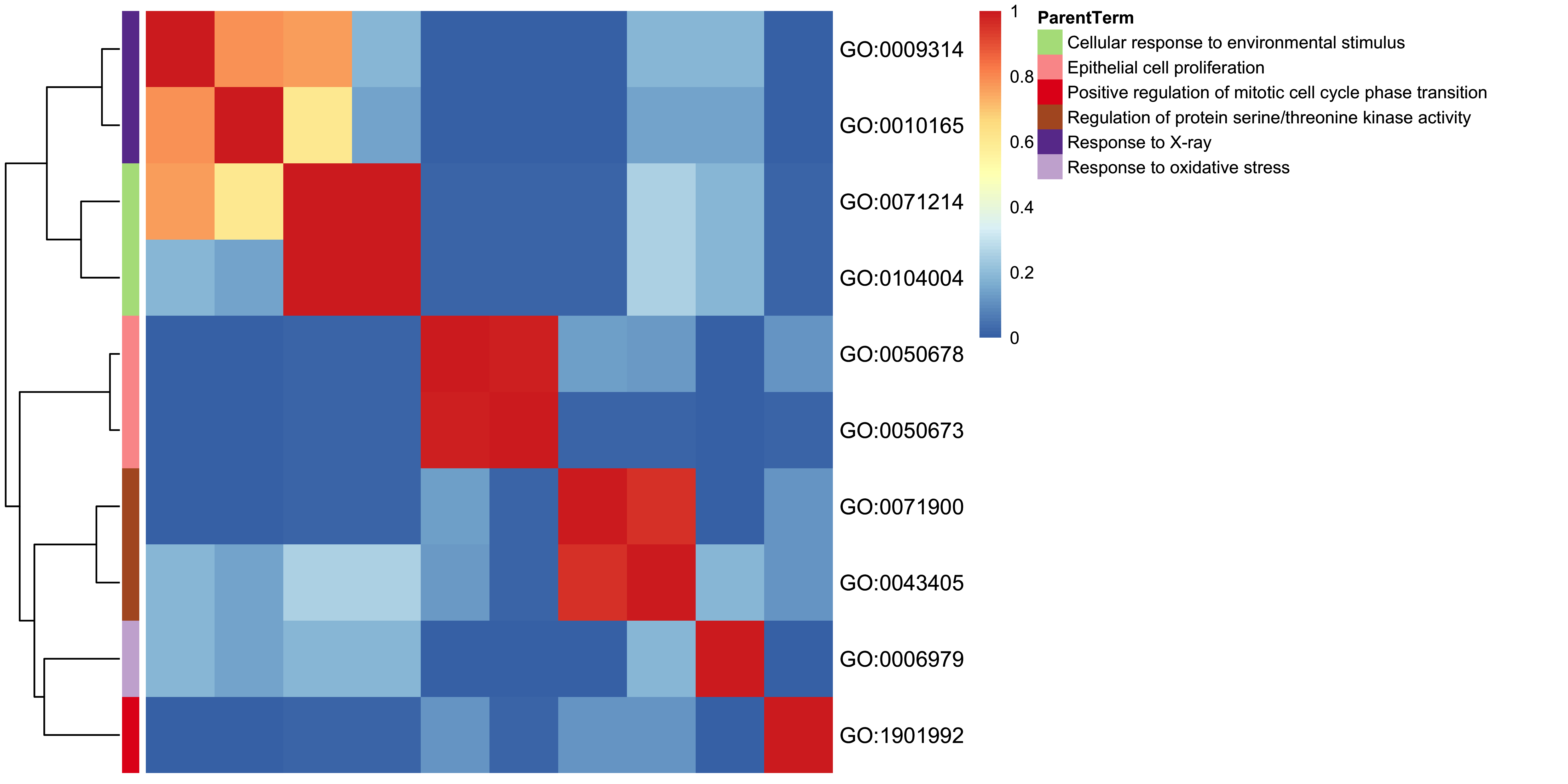 GO heatmap plot of enrichment analysis.