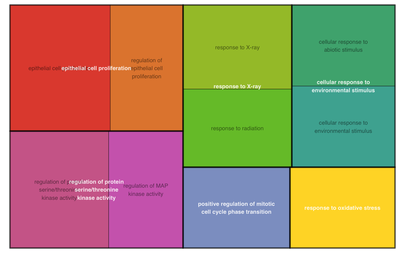 GO tangram plot of enrichment analysis.