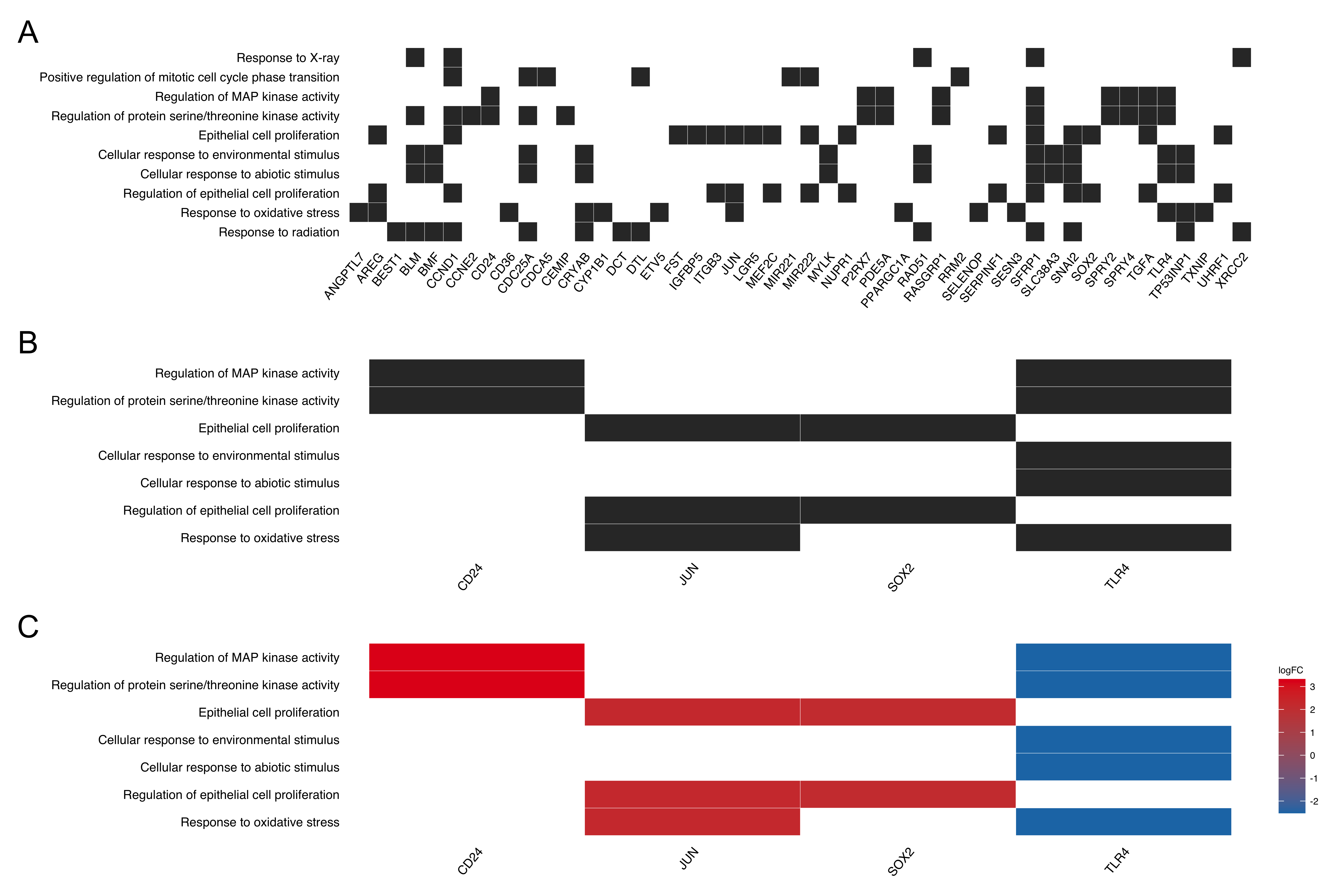 Heatmap plot of enrichment analysis. all genes (A, default), selected genes (B), selected genes with logFC value (C).