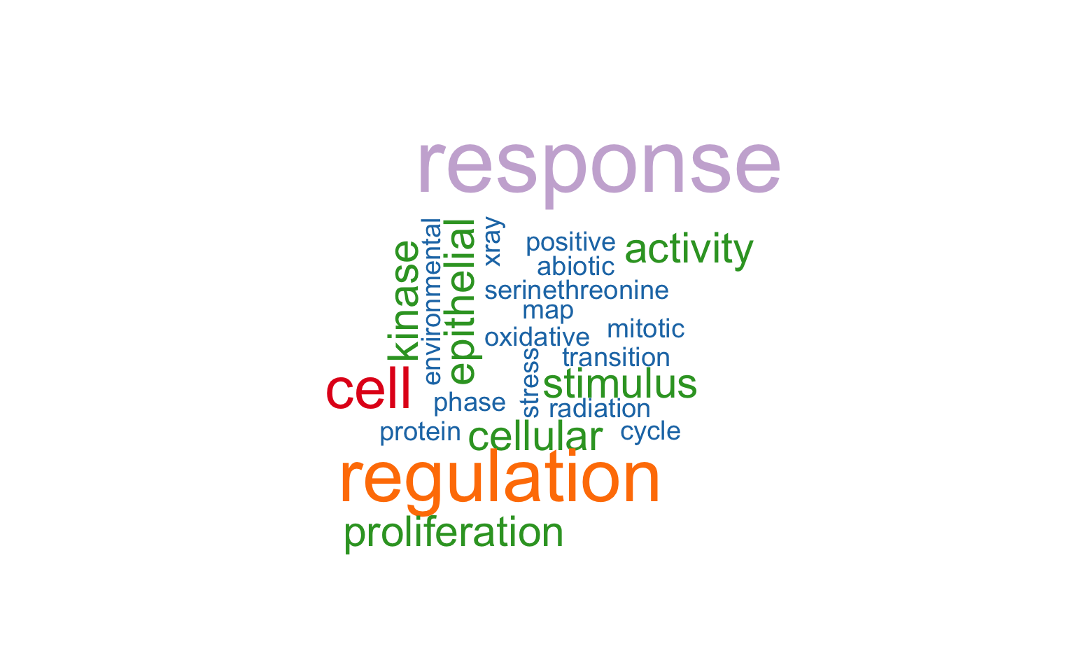 Wordcloud plot of enrichment analysis.